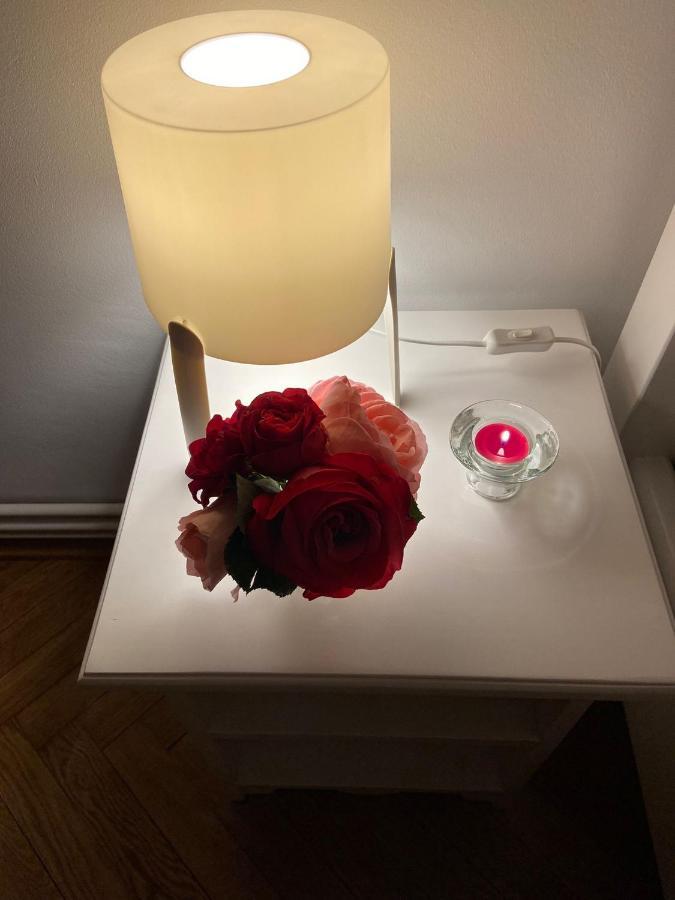 Daniela'S Apartaments Segesvár Kültér fotó